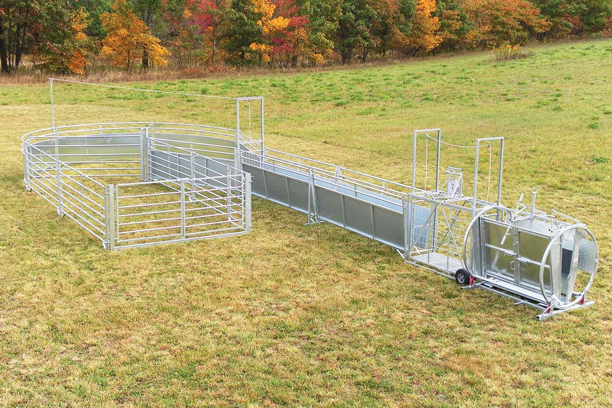 sheep squeeze chute for sale sheep squeeze chute for sale