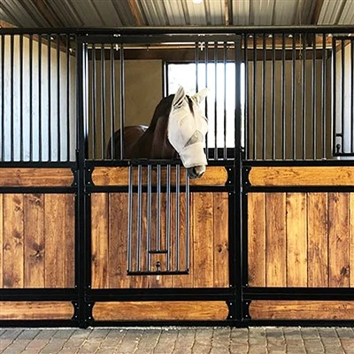 Hvernig á að þrífa og snyrta hestabása